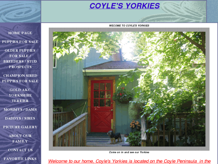 www.coylesyorkies.com