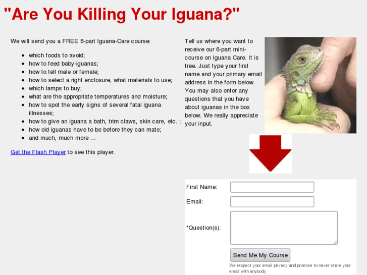 www.iguana-secrets.com