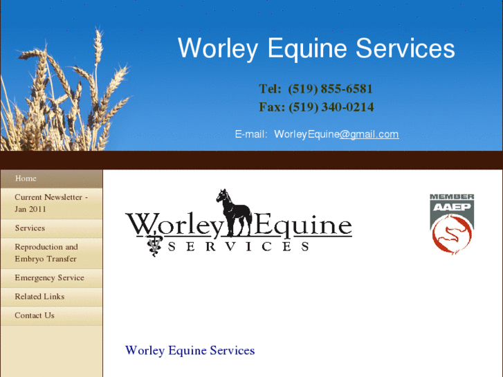 www.worleyequine.com