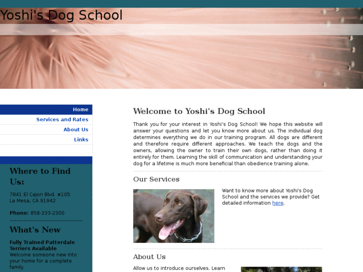 www.yoshisdogschool.com