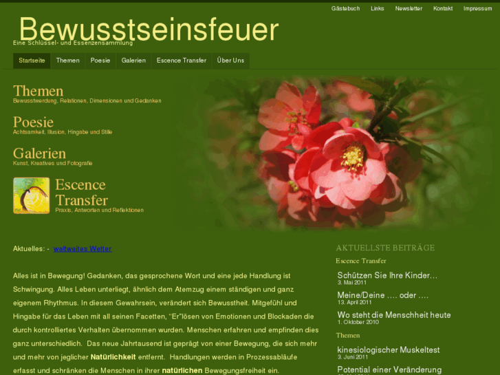 www.bewusstseinsfeuer.net