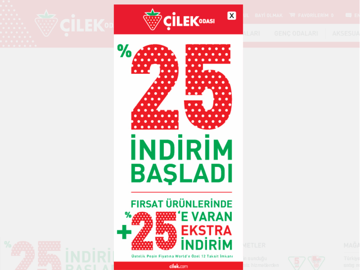 www.cilek.com