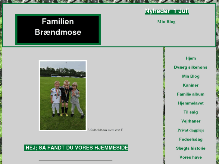 www.fam-braendmose.dk