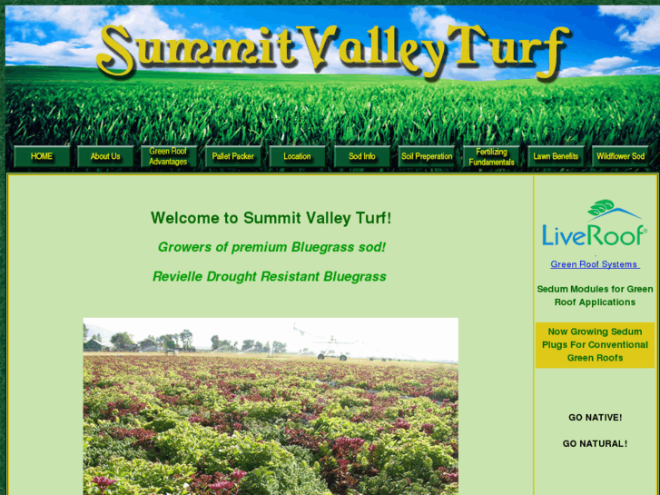 www.summitvalleyturf.com