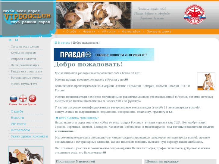 www.vipdogclub.ru