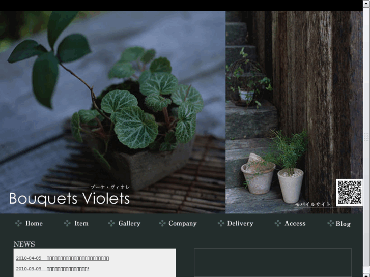 www.b-violets.com