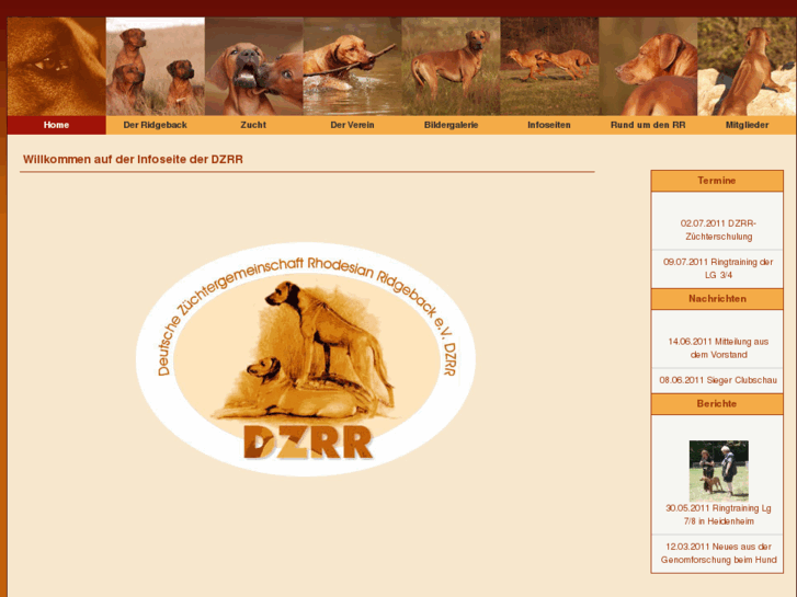 www.dzrr.de