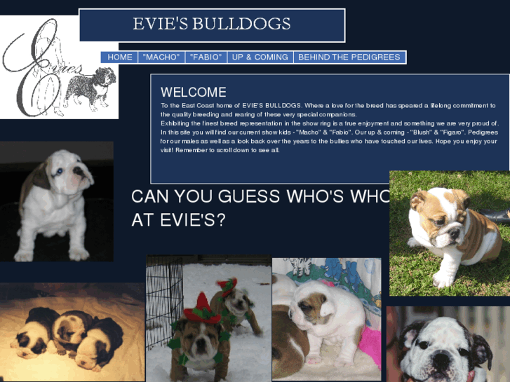 www.eviesbulldogs.com