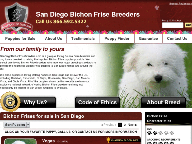 www.sandiegobichonfrisebreeders.com