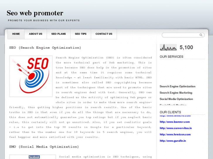 www.seowebpromoter.com