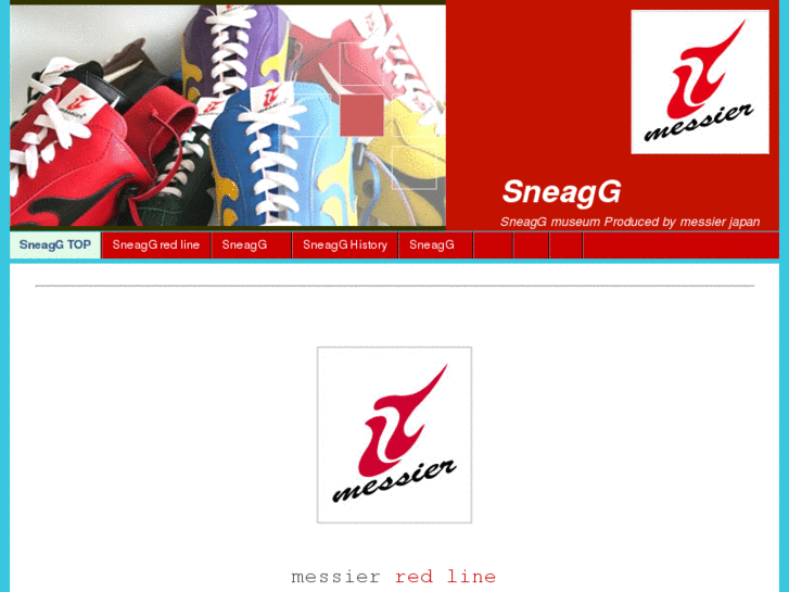 www.sneagg.com