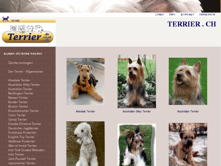 www.terrier.ch