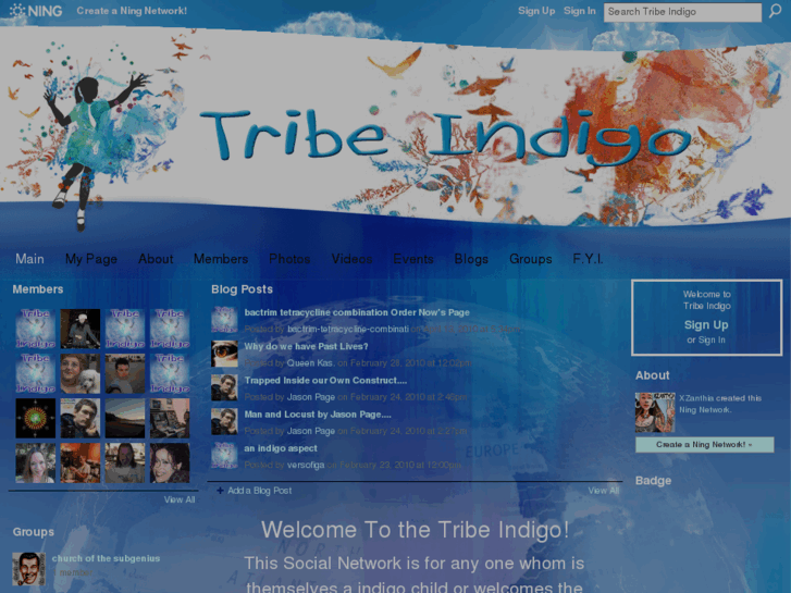 www.tribeindigo.com