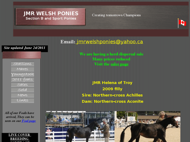 www.jmrwelshponies.com