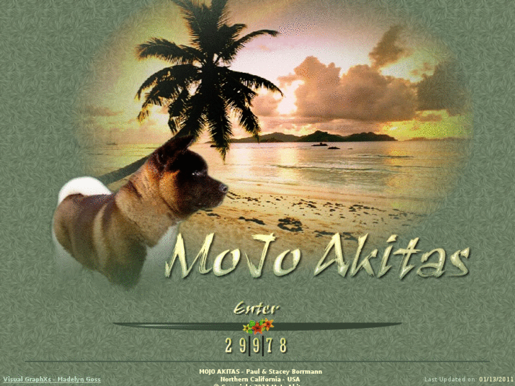 www.mojoakitas.com