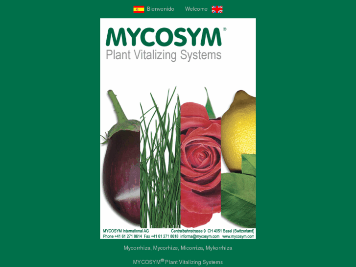 www.mycosym.com