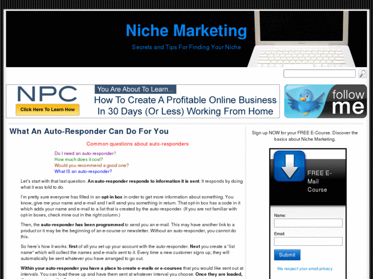 www.discoveringnichemarketing.com