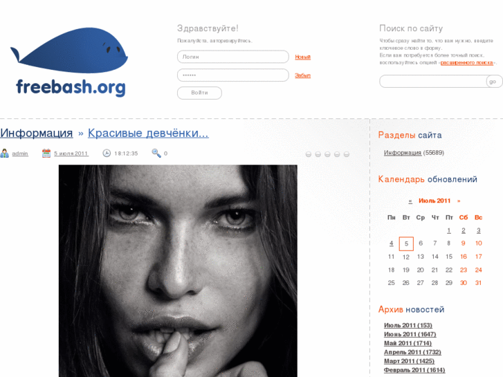 www.freebash.org