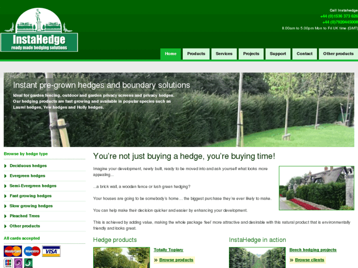 www.pleached-trees.com