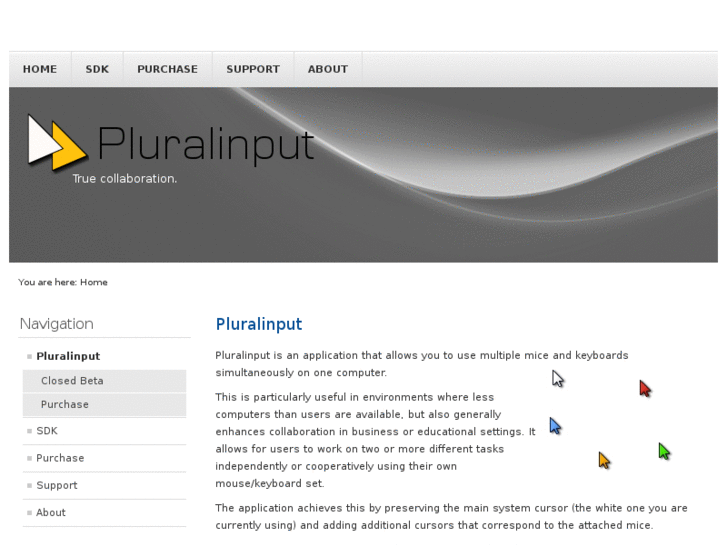www.pluralinput.com