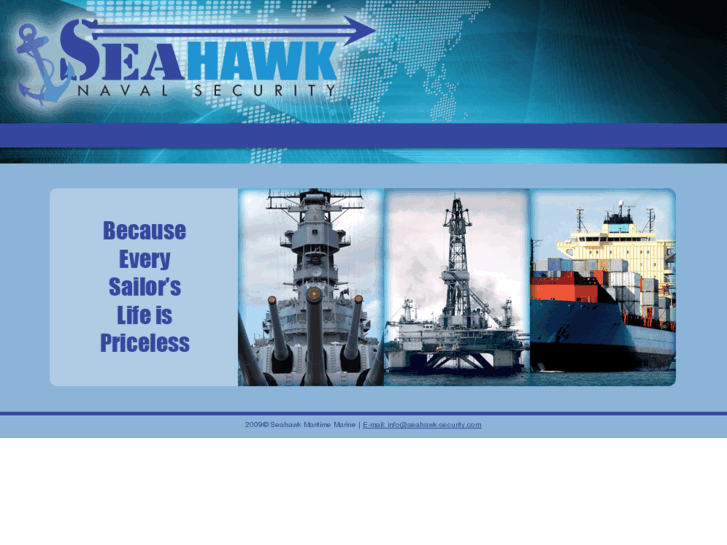 www.seahawk-security.com