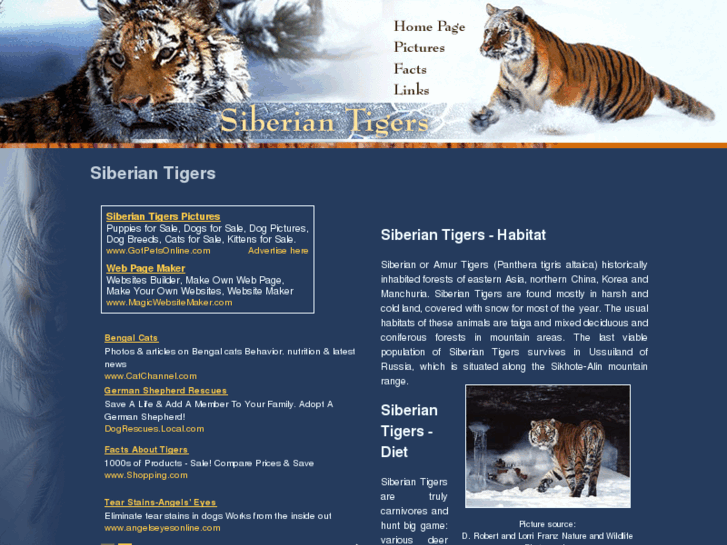 www.siberian-tigers.com