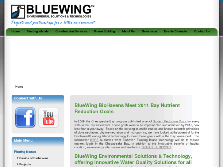 www.bluewing-env.com