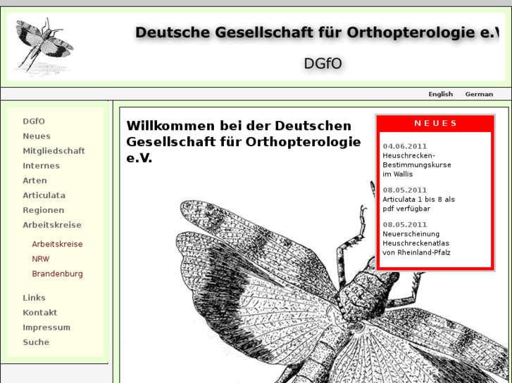 www.dgfo-articulata.de