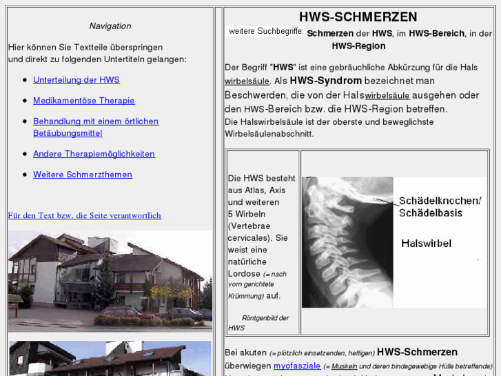 www.hws-schmerzen.de