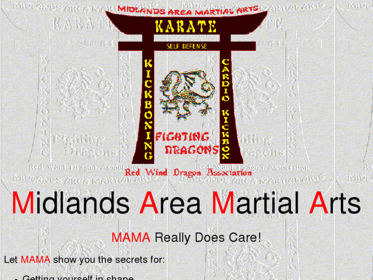 www.midlandsareamartialarts.com