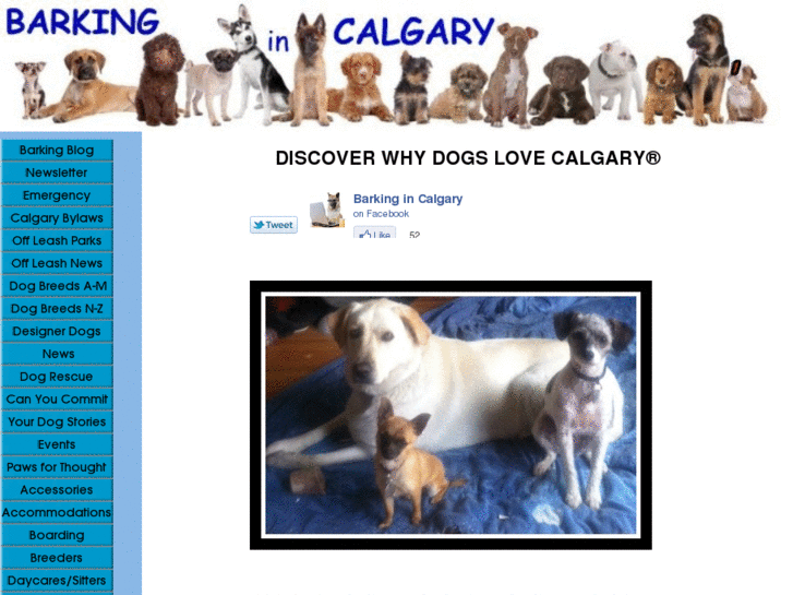 www.barkingincalgary.com