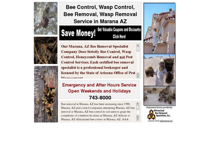 www.beecontrolmaranaaz.com