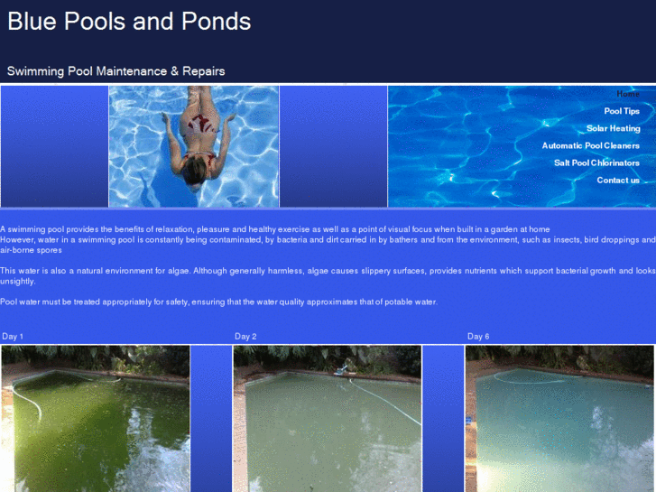 www.bluepoolsandponds.com