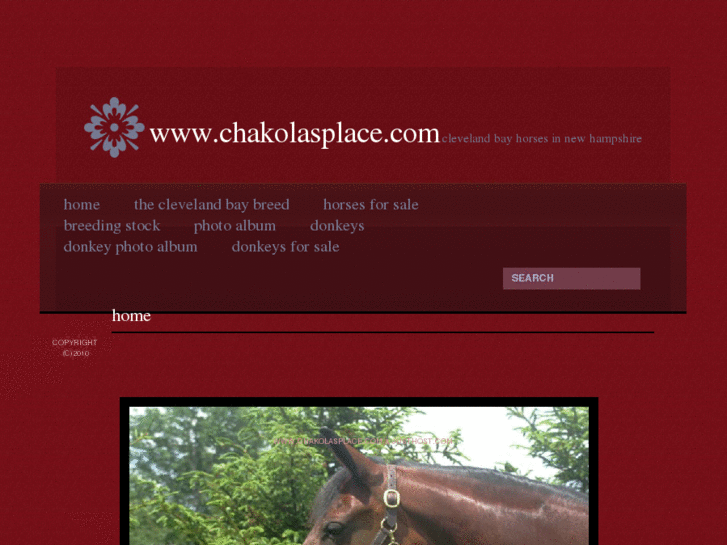 www.chakolasplace.com