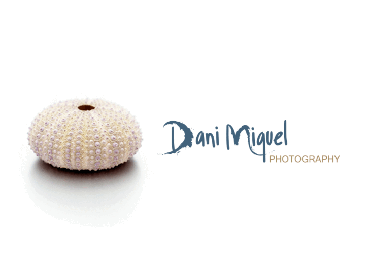 www.danimiquel.com