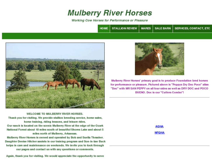 www.mulberryriverhorses.com