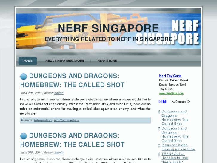 www.nerfsingapore.com