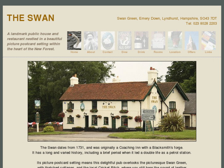www.theswanlyndhurst.com