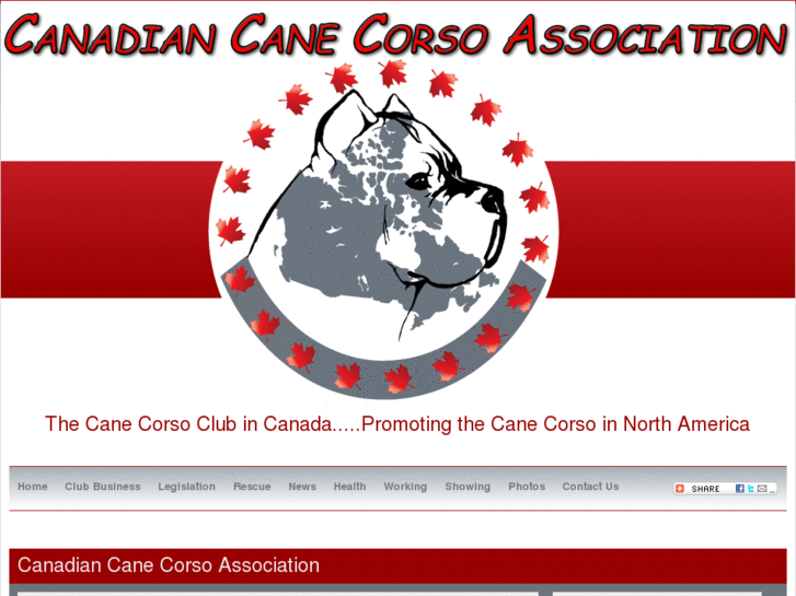www.canadian-cane-corso-association.com