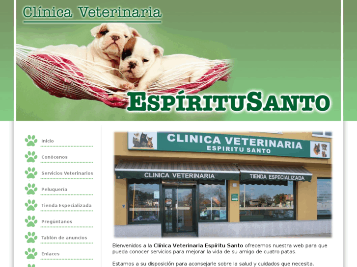 www.clinicaespiritusanto.com