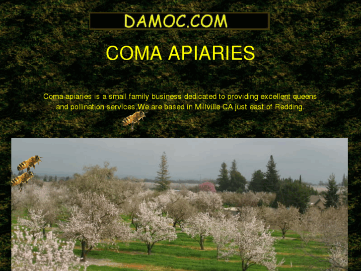 www.damoc.com