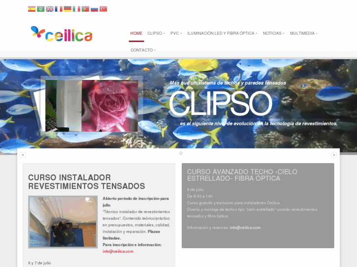 www.ceilica.com