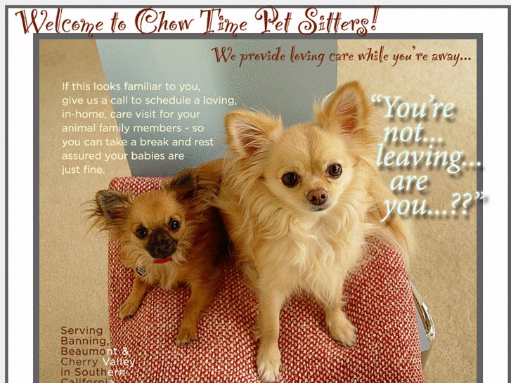 www.chowtimepetsitters.com