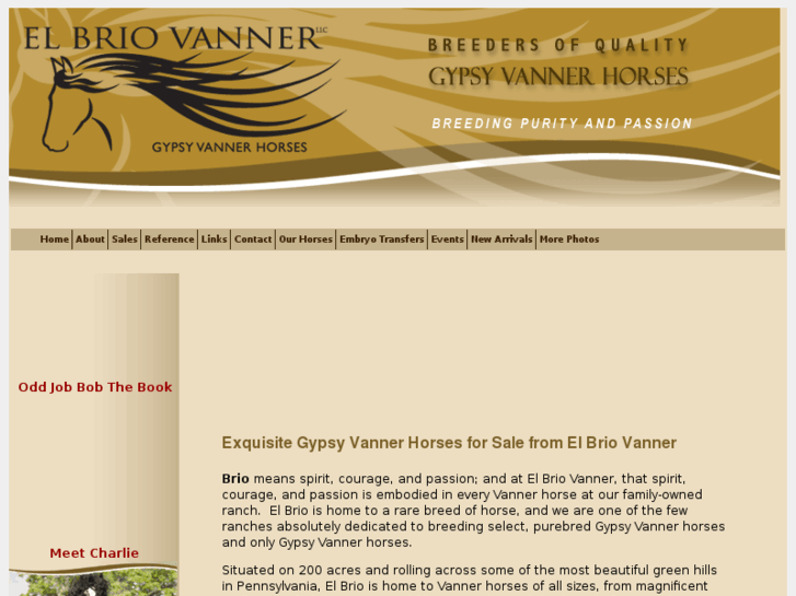 www.elbriovanner.com