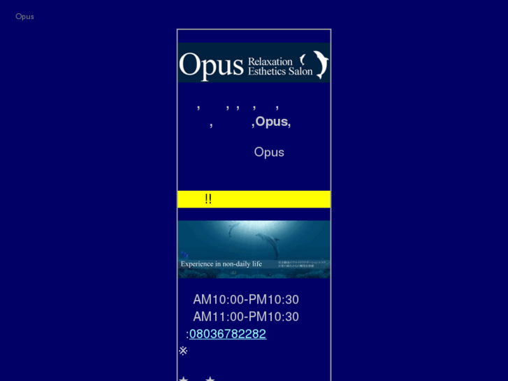 www.opus2010.net