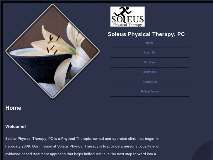 www.soleusphysicaltherapy.com