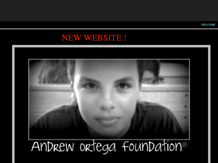 www.andrewortegafoundation.com