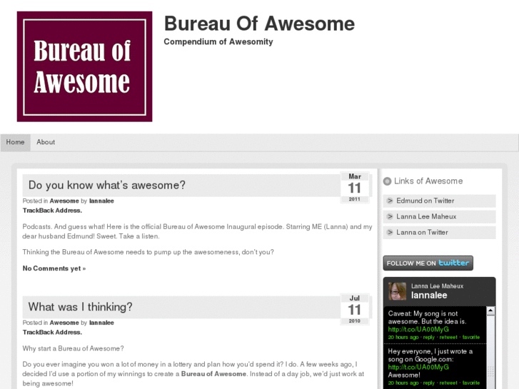 www.bureauofawesome.com