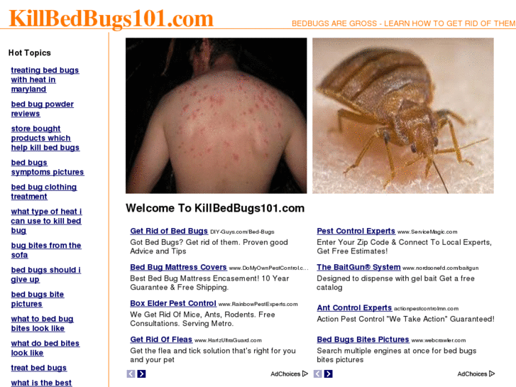 www.killbedbugs101.com