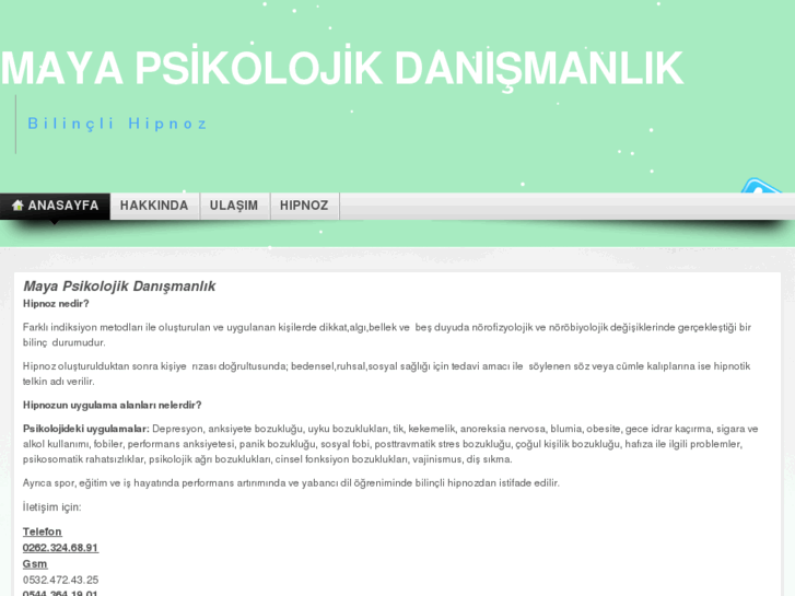 www.maya-danismanlik.com